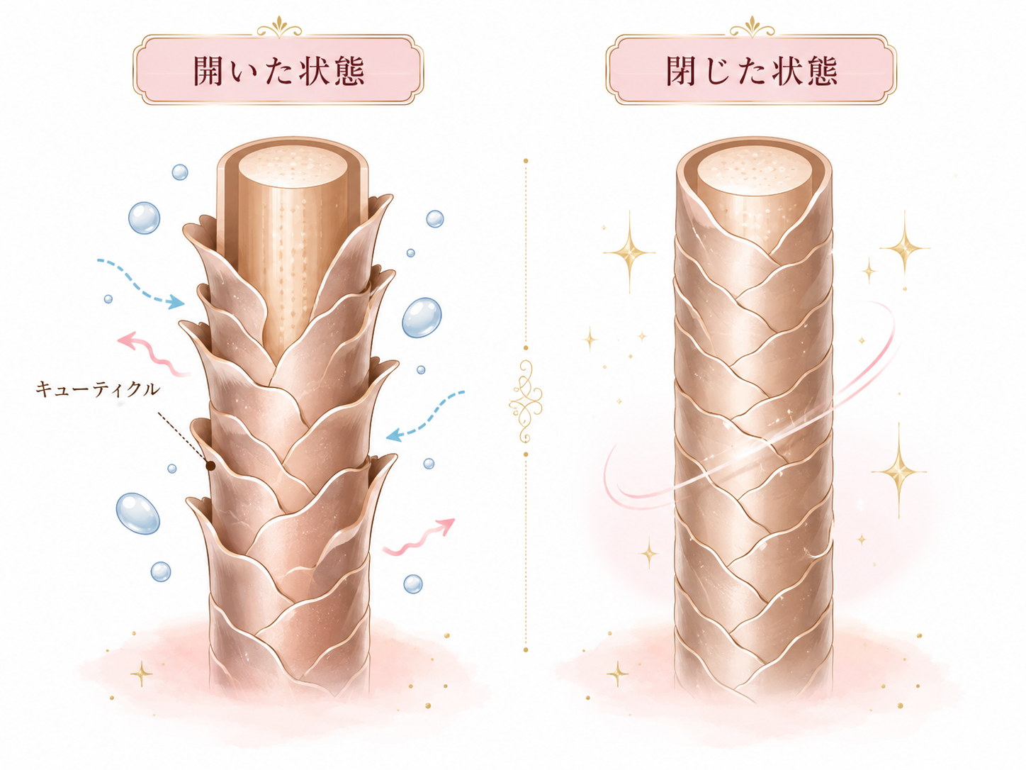 髪のキューティクルが開いた状態と閉じた状態を比べた図解