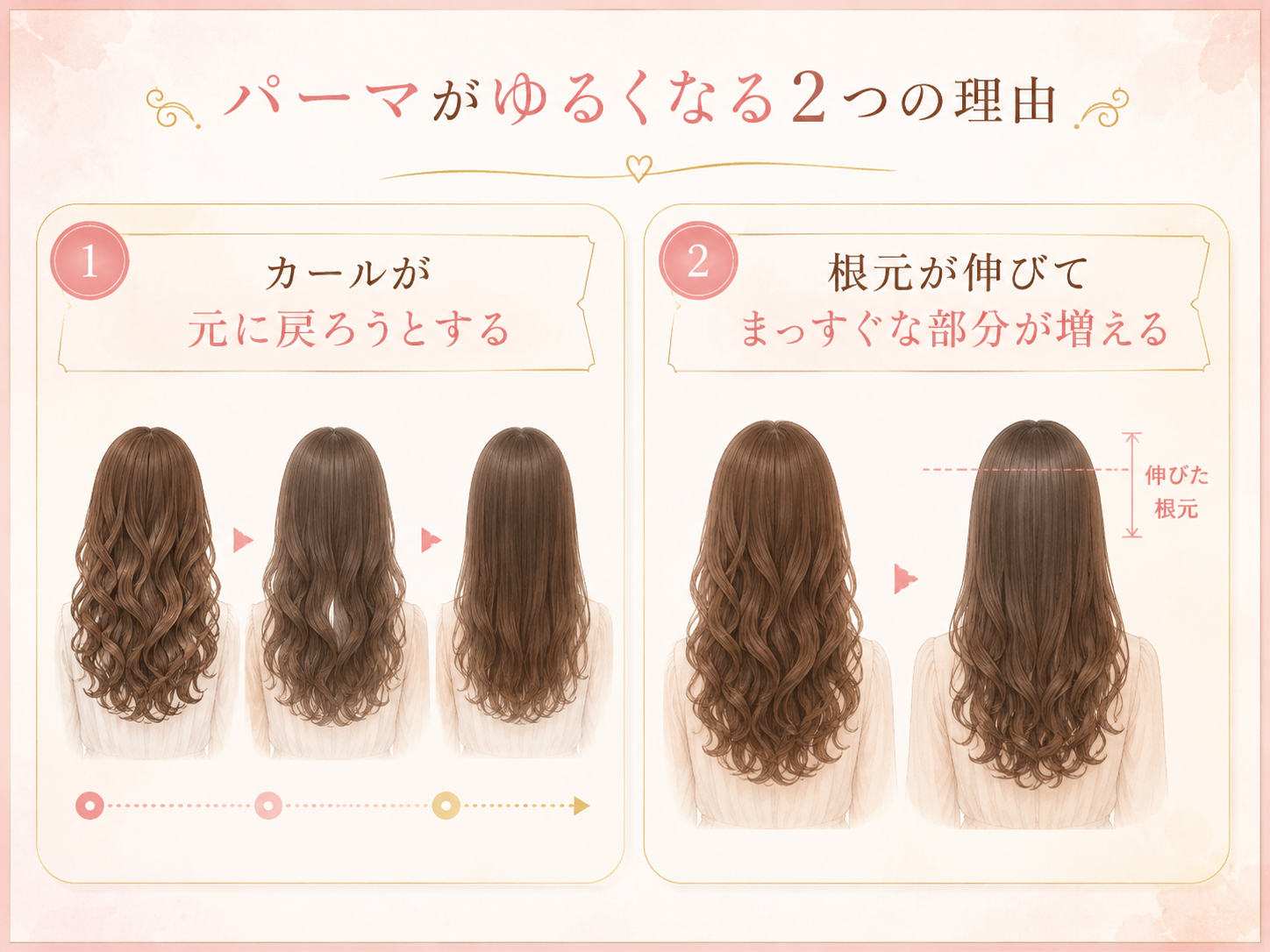 パーマのカールが元に戻ろうとすることと根元が伸びることを説明する図解