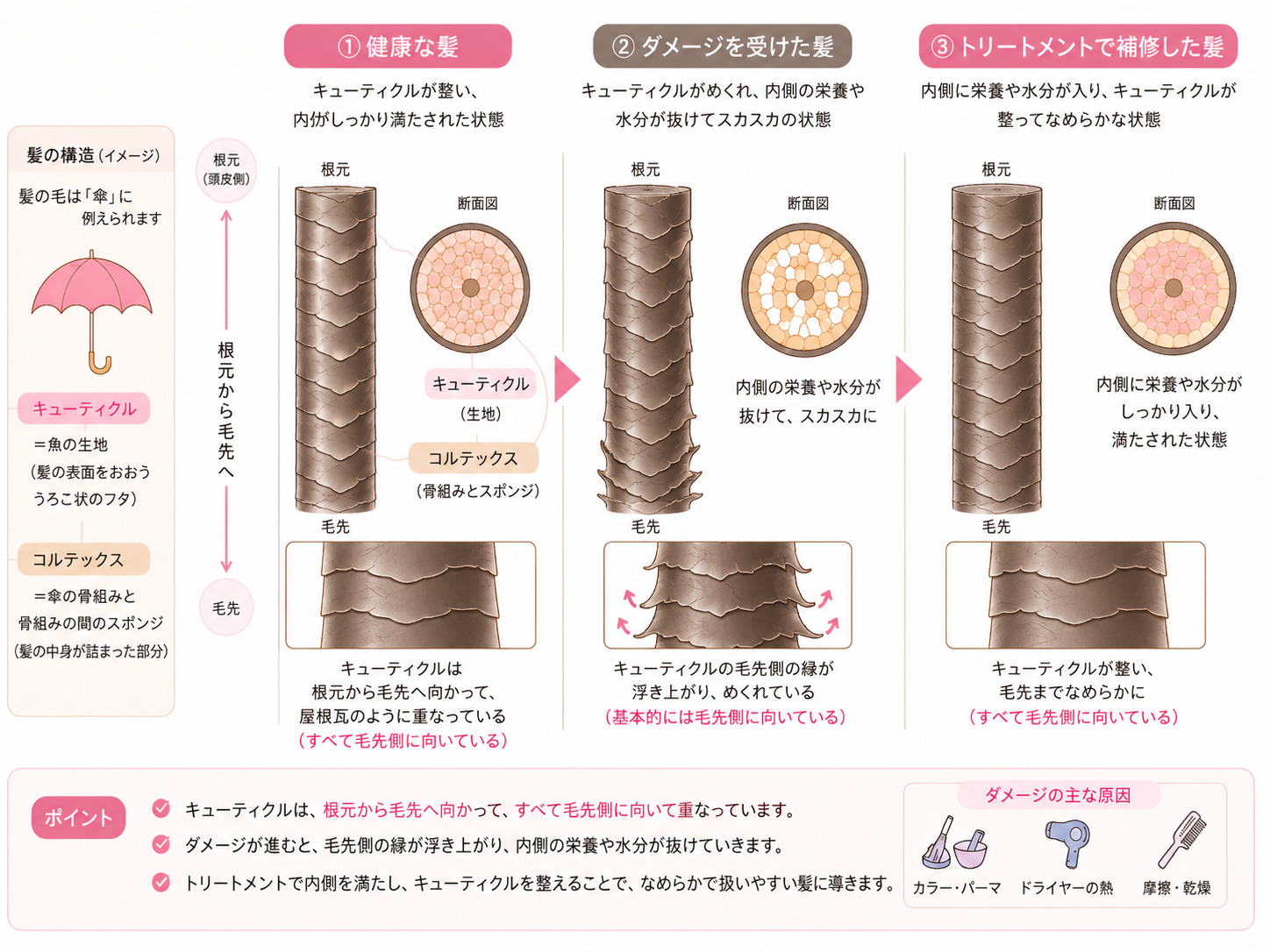 健康な髪、ダメージを受けた髪、トリートメントで補修した髪を比較した図解